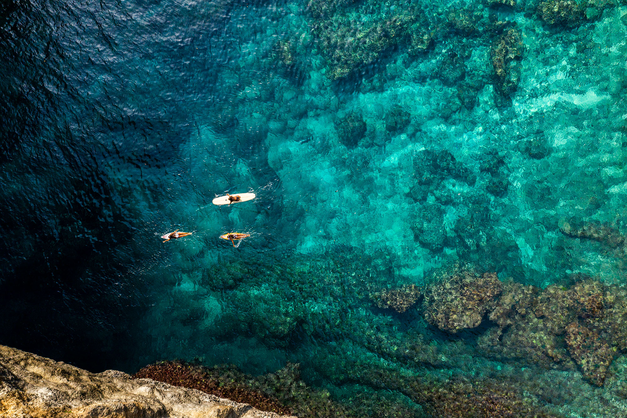 Surfers paddling over clear water and reef